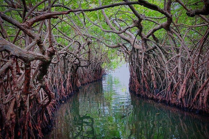 Sri Lanka tour photo 3
